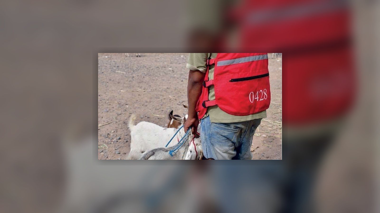Livelihoods and Food Security